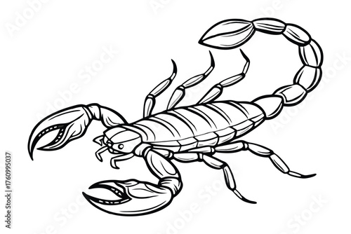 Scorpion Line Art Illustration – Detailed Arachnid Outline Drawing on White Background
