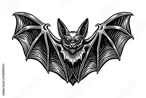 Bat Line Art Illustration - Spooky Hanging Bat Wings Spread Black and White Vector