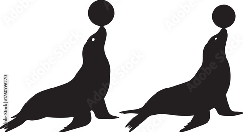 Two performing seals balancing balls on noses silhouette