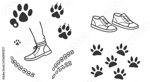 Human and animal footprints with shoes on white background