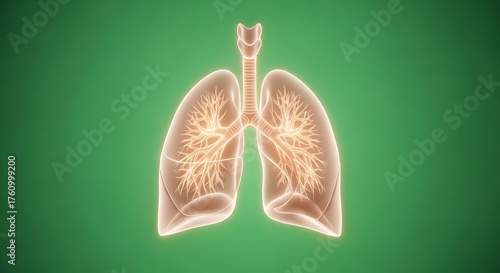Anatomical Illustration of Human Lungs with Trachea and Bronchi in Neon Style on Green Background