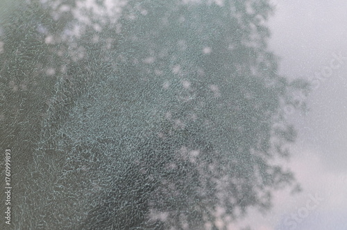 Cracked mirror with reflection of green tree abstract background