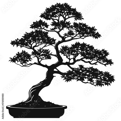 bonsai tree silhouette