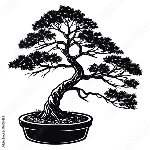 bonsai tree vector