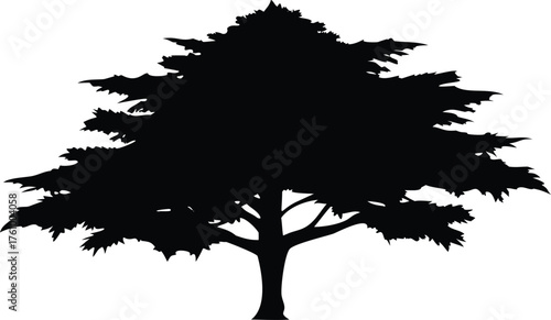 Silhouette of a cedar tree evergreen foliage in a vector illustration isolated on white background