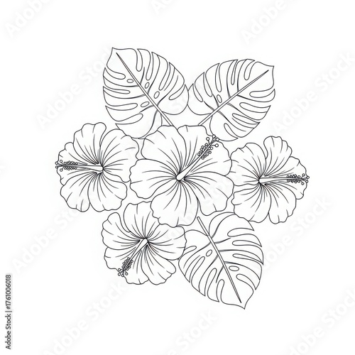 Hibiscus flowers and leaves outline design for coloring page  