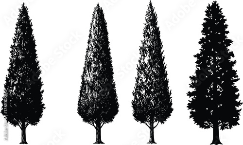 Conifer tree silhouettes, evergreen forest illustration, botanical vector trees, pine shapes, nature graphics, black foliage design, landscape decor, forestry art, seasonal trees