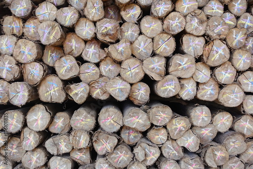 Stack of Marked Wooden Logs for Industrial Use