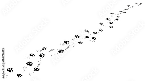 A decorative line of simple cat paw prints wandering diagonally across the page.