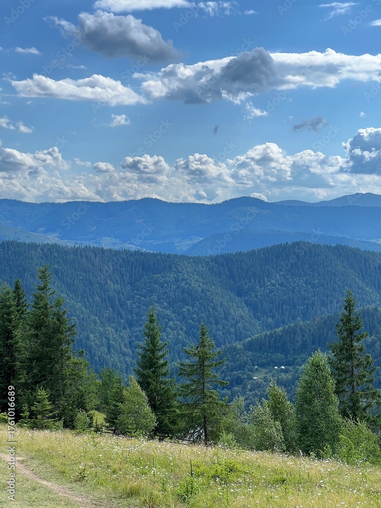 Fototapeta premium in the mountains