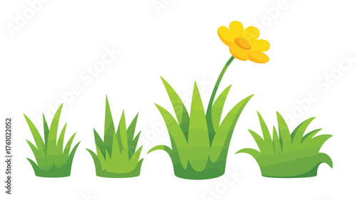 Spring growth of green grass with a single yellow flower blooming