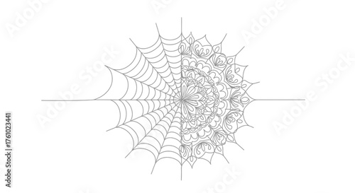 Intricate spider web vector illustration scalable graphic for halloween and nature designs