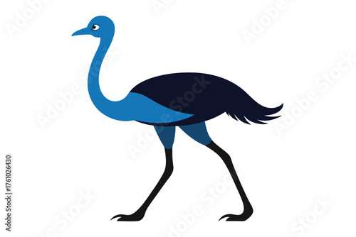 Ostrich Bird Vector Illustration – African Wildlife Flightless Animal Design