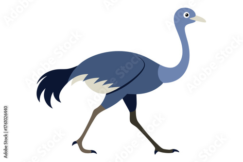 Ostrich Bird Vector Illustration – African Wildlife Flightless Animal Design