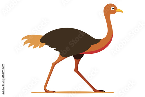 Ostrich Bird Vector Illustration – African Wildlife Flightless Animal Design