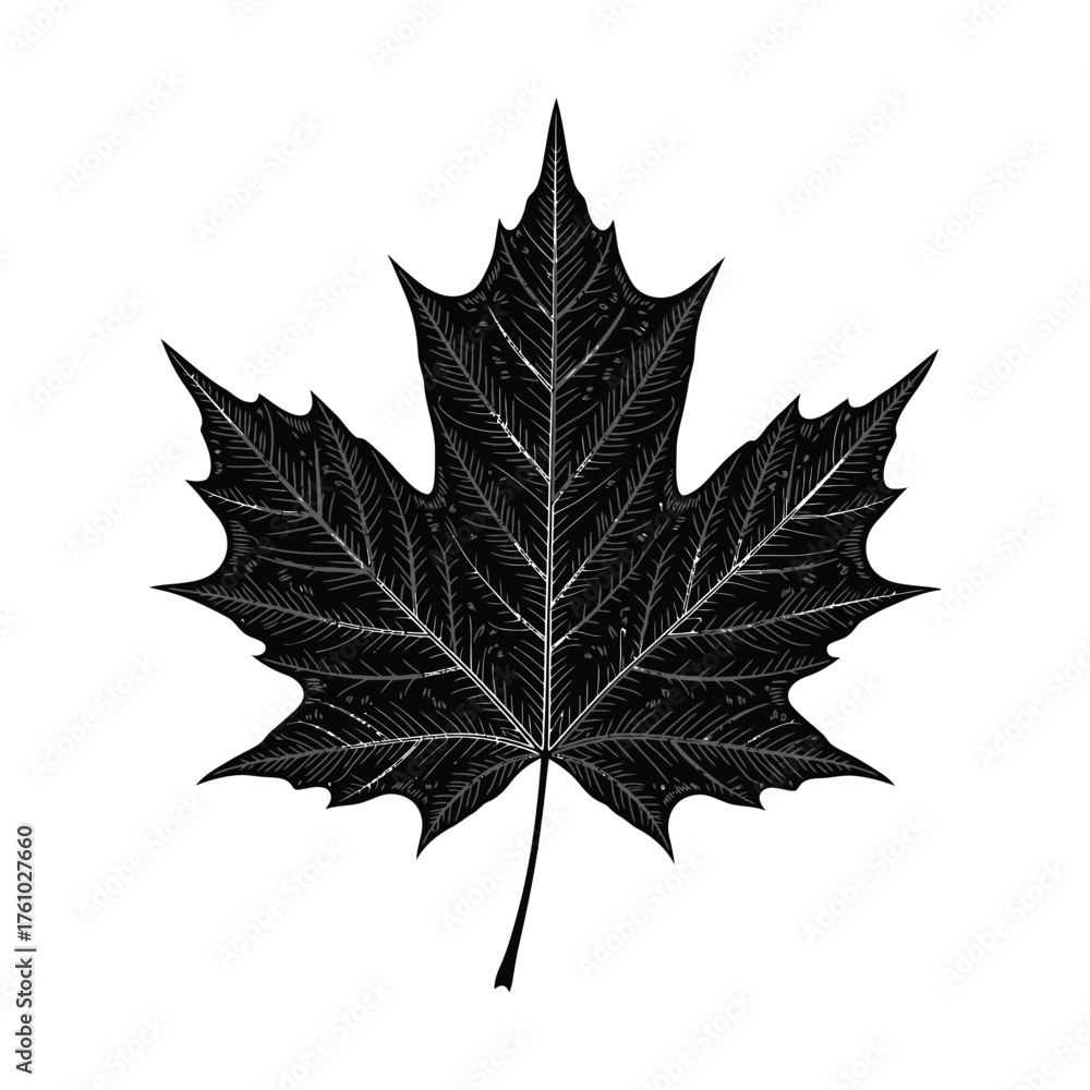 Naklejka premium Single detailed maple leaf silhouette centered composition in clean black vector on white representing autumn and nature