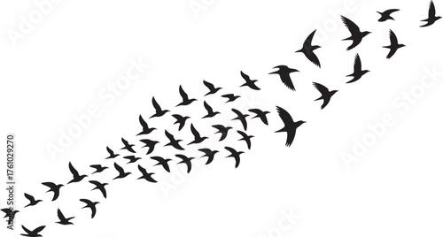 Birds Flying in Formation A Symbol of Freedom Migration and Unity Set Against a White Background Graphic Design Illustration