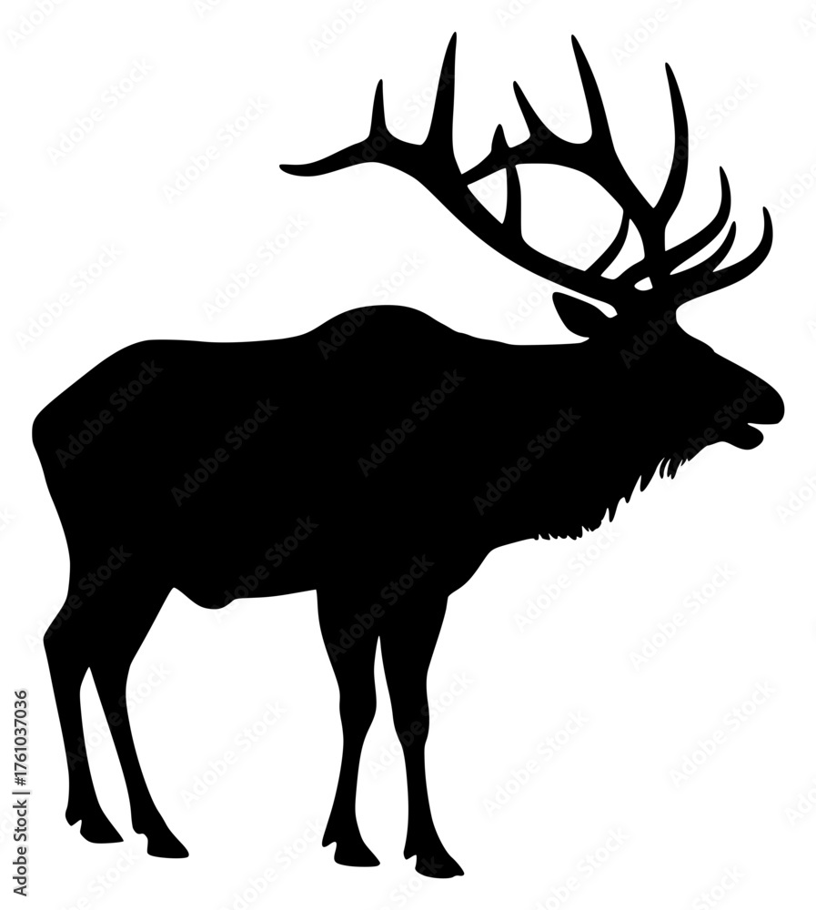 Fototapeta premium elk on a transparent background, antler, black, deer, elk, horn, picture, silhouette, stand