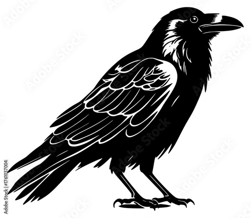 crow on a transparent background, black, crow, illustration, raven, silhouette, stand 