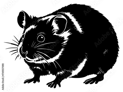 hamster on a transparent background, black, drawing, mouse, rat, silhouette, sit 