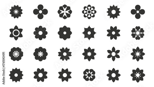 Collection of diverse decorative floral and geometric symbols various arrangements artistic designs silhouette