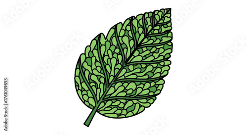 fresh mint leaf intricate vein details a vibrant green herb perfect for culinary blog embodying freshness natural flavors organic ingredients healthy cooking.