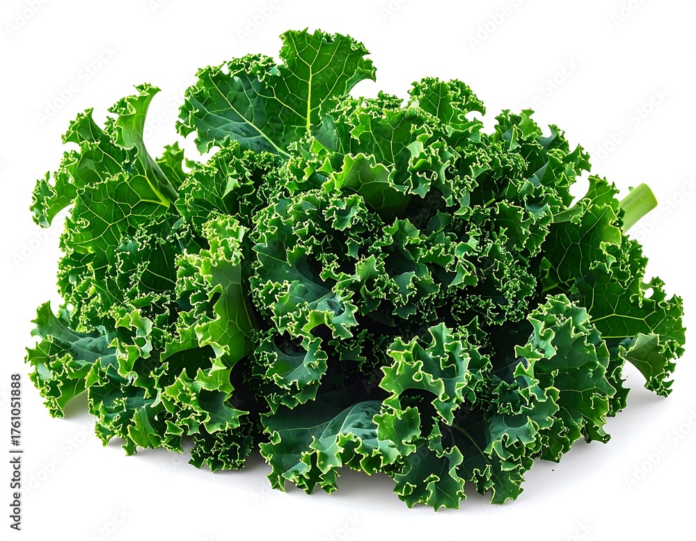 Obraz premium Close-up studio shot of a vibrant green leafy vegetable, showing intricate textures against a bright white background
