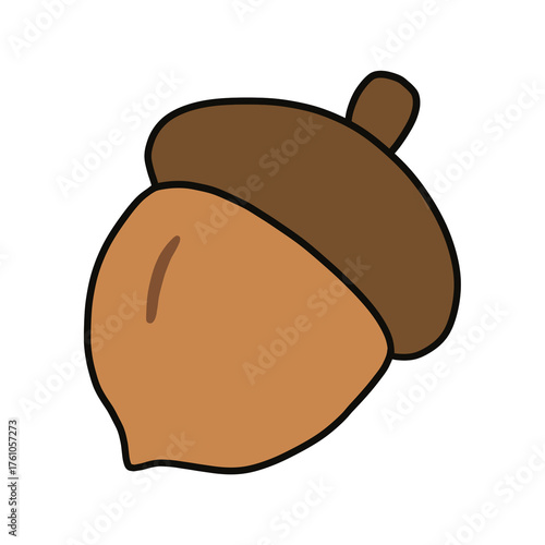 Cute Acorn – Autumn and Fall Season Illustration