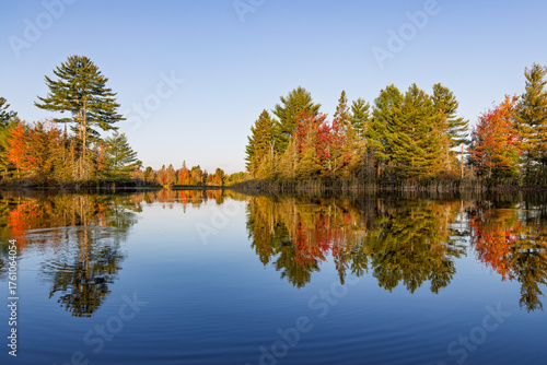 Peaceful Fall Colour Tree Reflection on Northern Lake