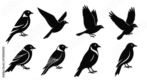 PrintBird silhouette vector, flying and standing poses, black bird illustration, abstract avian design, wildlife icon set for stock use