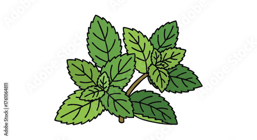 Mint leaves outline icon vector
