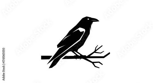 Silhouette of a black crow perched on a bare tree branch.