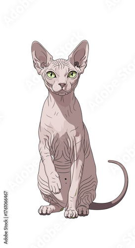 A unique hairless cat with distinctive large ears sits attentively.