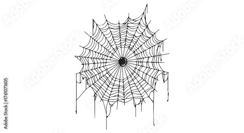 Intricate spider web illustration with a central focus, isolated on transparent background