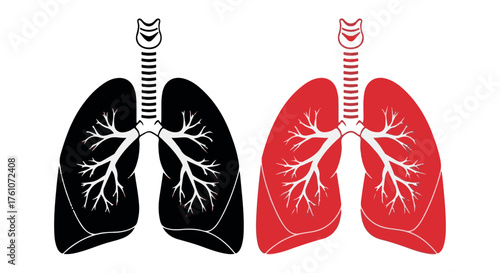 Black and red lungs illustration with trachea isolated on transparent background