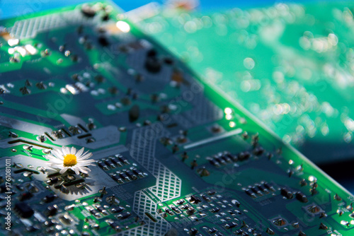 A daisy growing through a computer motherboard, energy consumption by artificial intelligence concept, environmental impacts