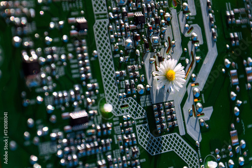 A daisy growing through a computer motherboard, energy consumption by artificial intelligence concept, environmental impacts