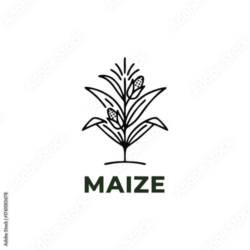 Maize Corn Stalk Simple Line Art Icon