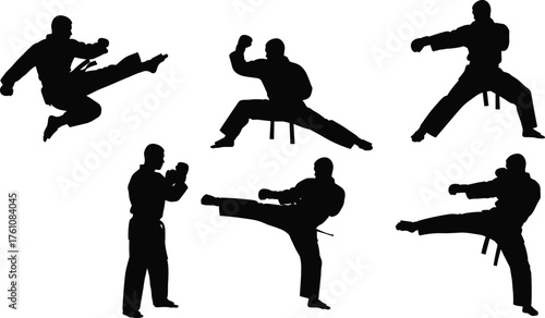 Martial arts silhouette, karate pose, taekwondo kick, black figure action, combat training, self defense, dynamic movement, isolated on white
