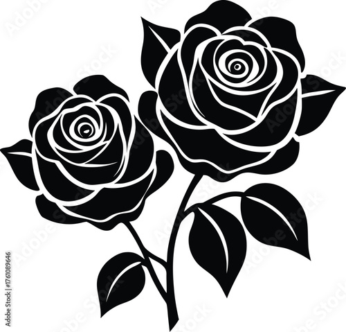 Dramatic black and white still life arrangement of geometric shapes and textured elements isolated on transparent background