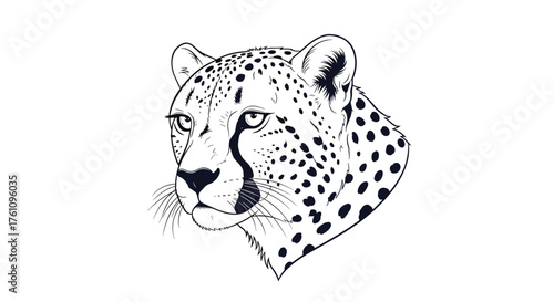 A close up profile of a cheetahs head in black and white.