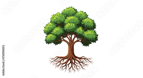 A healthy green tree with strong roots and a full canopy of leaves on a white background.