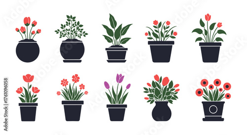 Collection of potted plants and flowers in various styles and colors.