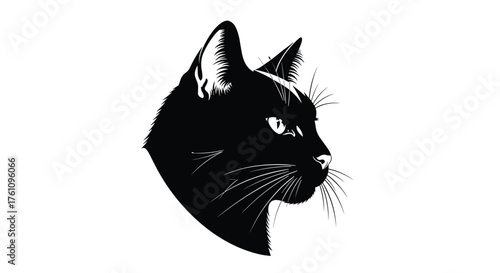 An elegant black cat's profile showcases its sharp features and piercing gaze.