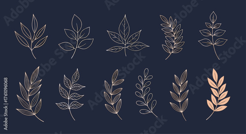 Decorative botanical elements for elegant autumnal designs and invitations.