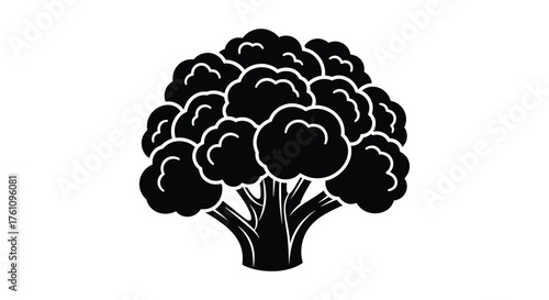 A stylized black and white illustration of a cauliflower plant with a thick stem and a dense head of florets.