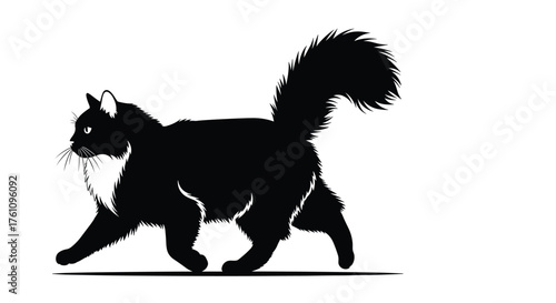 A black cat walks with its tail held high.