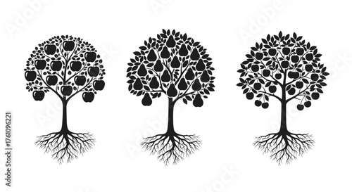 Three stylized trees with visible root systems and different fruit