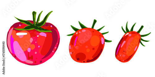 Vector illustration of red tomatoes with green stems. Hand drawn fresh vegetables isolated on white background.