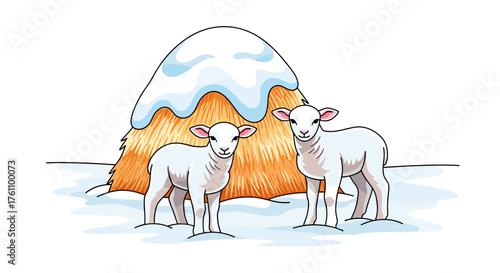 Lambs near snowy haystack in frosty field with calm and wintery mood, vector illustration with vivid colors, white background